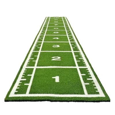 Gym Sled Track